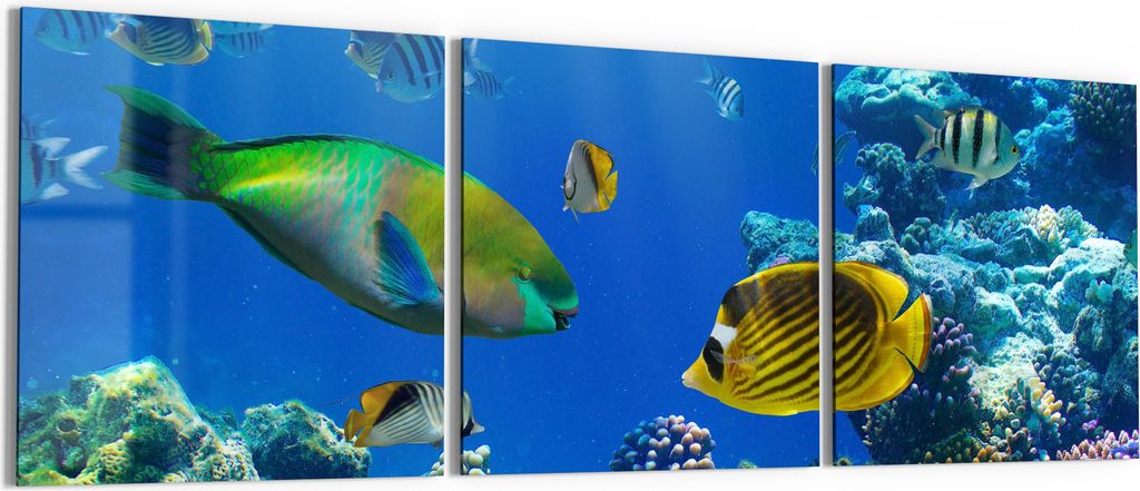 DEQORI Glasbild Echtglas 3x50x50 cm 'Unterwasserwelten' Wandbilder XXL groß