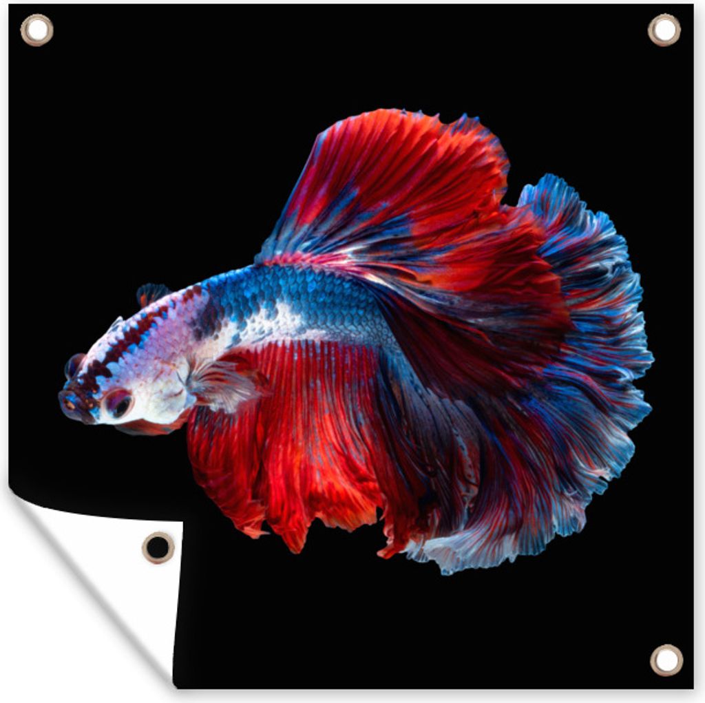 MuchoWow 50x50 cm Outdoor-Poster Gartendeko Sichtschutz Garten Poster für den Garten Fisch - Schwanz - Schwarz