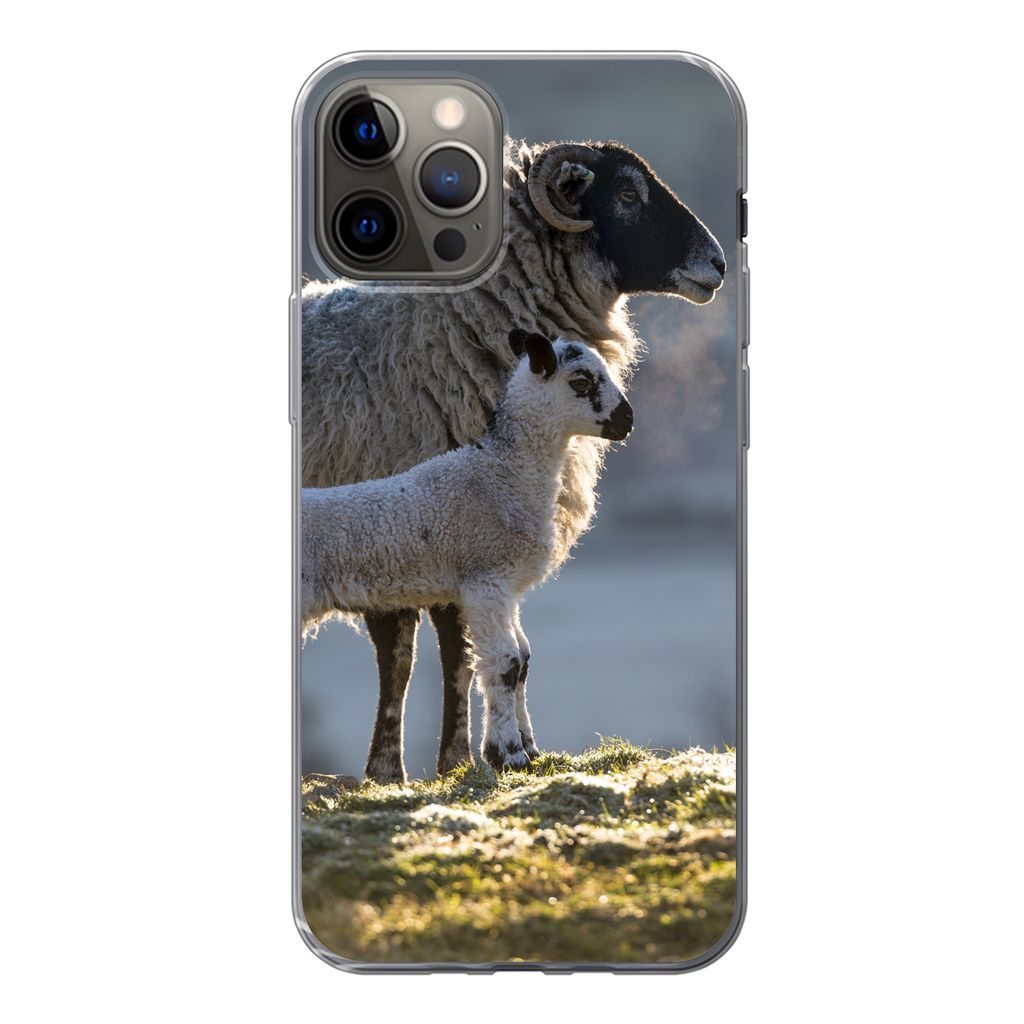 MuchoWow Handyhülle Schutzhülle Hülle für iPhone 13 Pro Schaf - Lamm - Sonne Silikon Softcase Handy Hülle - Handy-Tasche