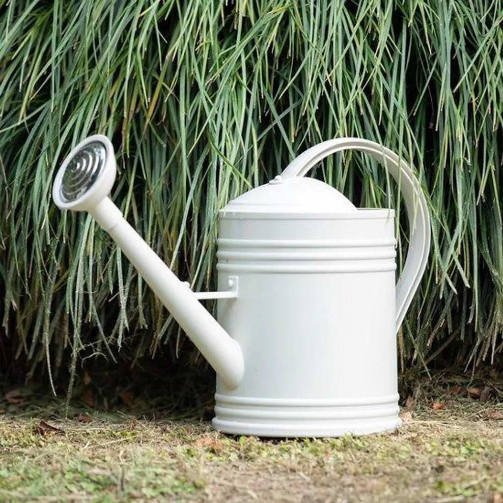 Arrosoir blanc 2L avec spray pour entretien plantes d'intérieur et fleurs