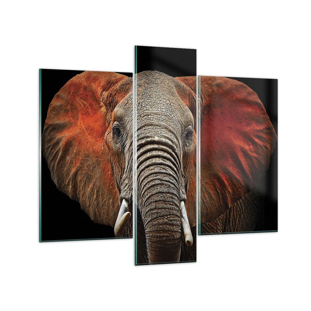 Bilder auf glas - 3 Teile - Elefant Rot Ohren - 95x80cm - Glasbilder - Wandbilder - Bilder - zum Aufhängen bereit - Wanddekoration aus Glas - Glas...