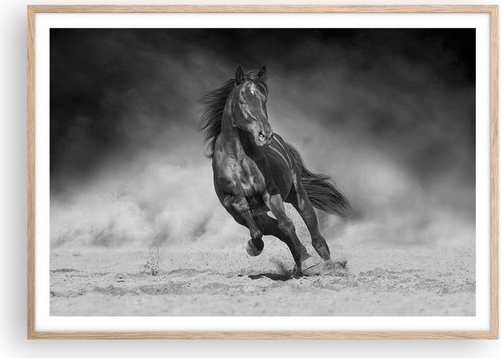 Gerahmtes Poster - Rahmen in heller Eiche - Pferd Galopp dynamisch - 100x70 cm - Wand Bild - Wanddeko - Wandbilder - Kunstposter - Wandposter - Bil...