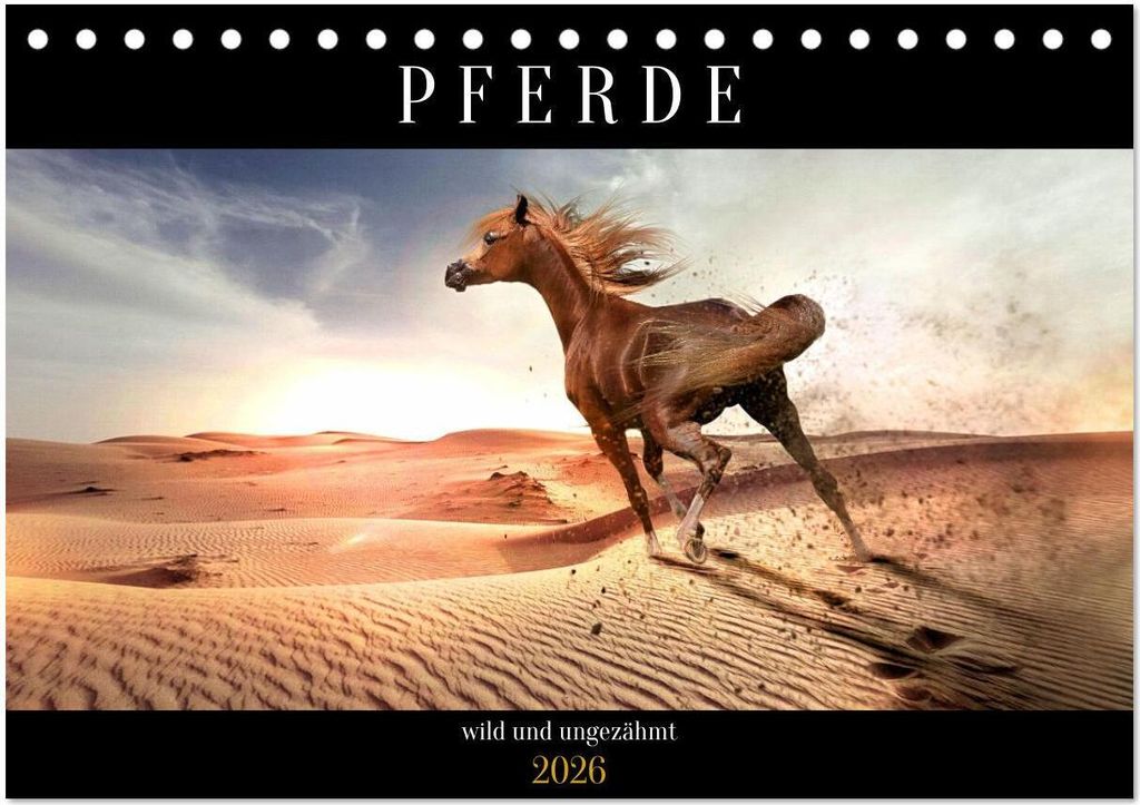 Pferde - wild und ungezähmt (Tischkalender 2026 DIN A5 quer), CALVENDO Monatskalender