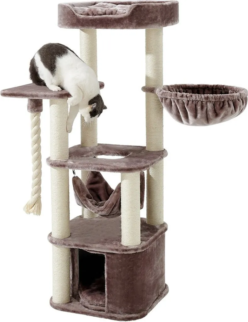 Petit arbre à chat Nobby ZADA - Idéal pour chaton et chat d'intérieur