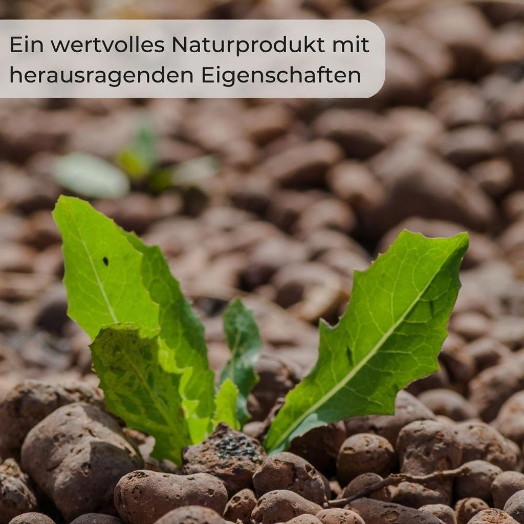 Blähton Kugeln Pflanz Granulat Ton Hydro Kultursubstrat Produktbild 7