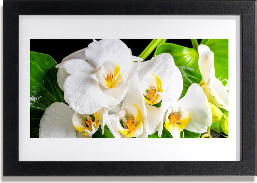 Bild 30x20 MDF-Rahmen Wandkunst Orchideen-Blumen-Natur Produktbild 