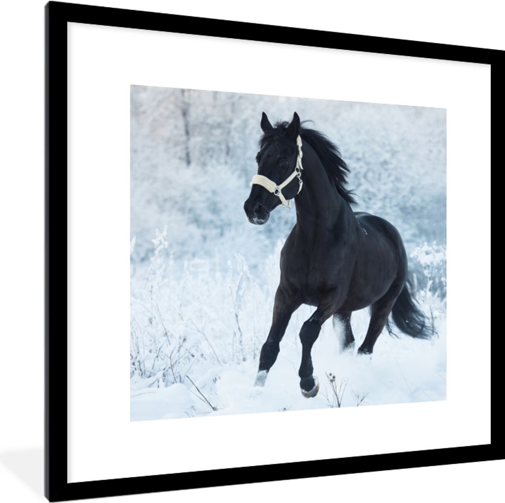MuchoWow Gerahmtes Poster Pferd - Schnee - Wald 40x40 cm - Poster mit Schwarzem Bilderrahmen Wandposter Rahmen Foto Bilder - Poster - Plakat im R...