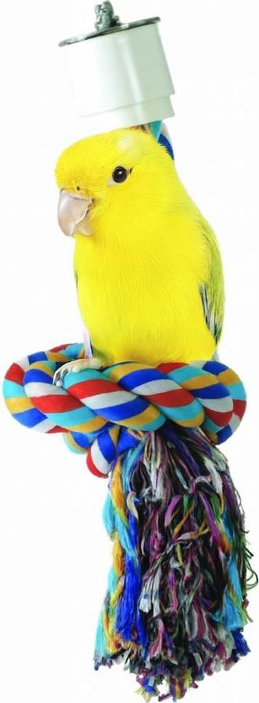 Twisted Zig Zag S 17 cm - für kleine Papageien