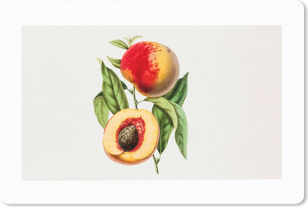 MuchoWow Schreibtischunterlage Pfirsich - Lebensmittel - Obst 60x40 cm - XXL Mauspad - Großes Mauspad