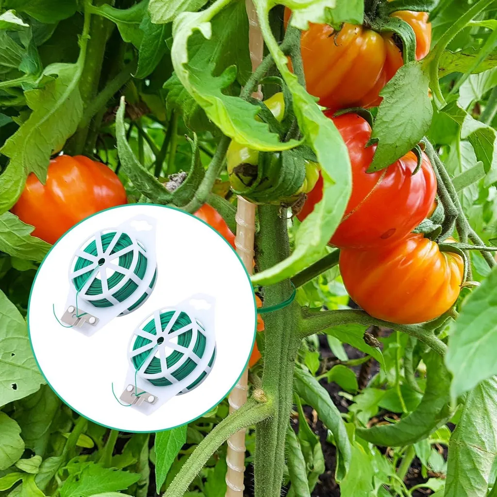 Fil vert fin et résistant pour plantes avec coupe-fil intégré - 2 unités