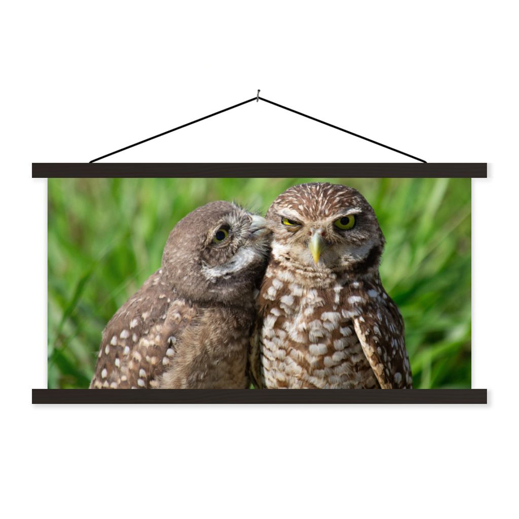 MuchoWow Textilposter Eulen - Vögel - Gras 150x75 cm mit schwarzem Rahmen - Posterleiste