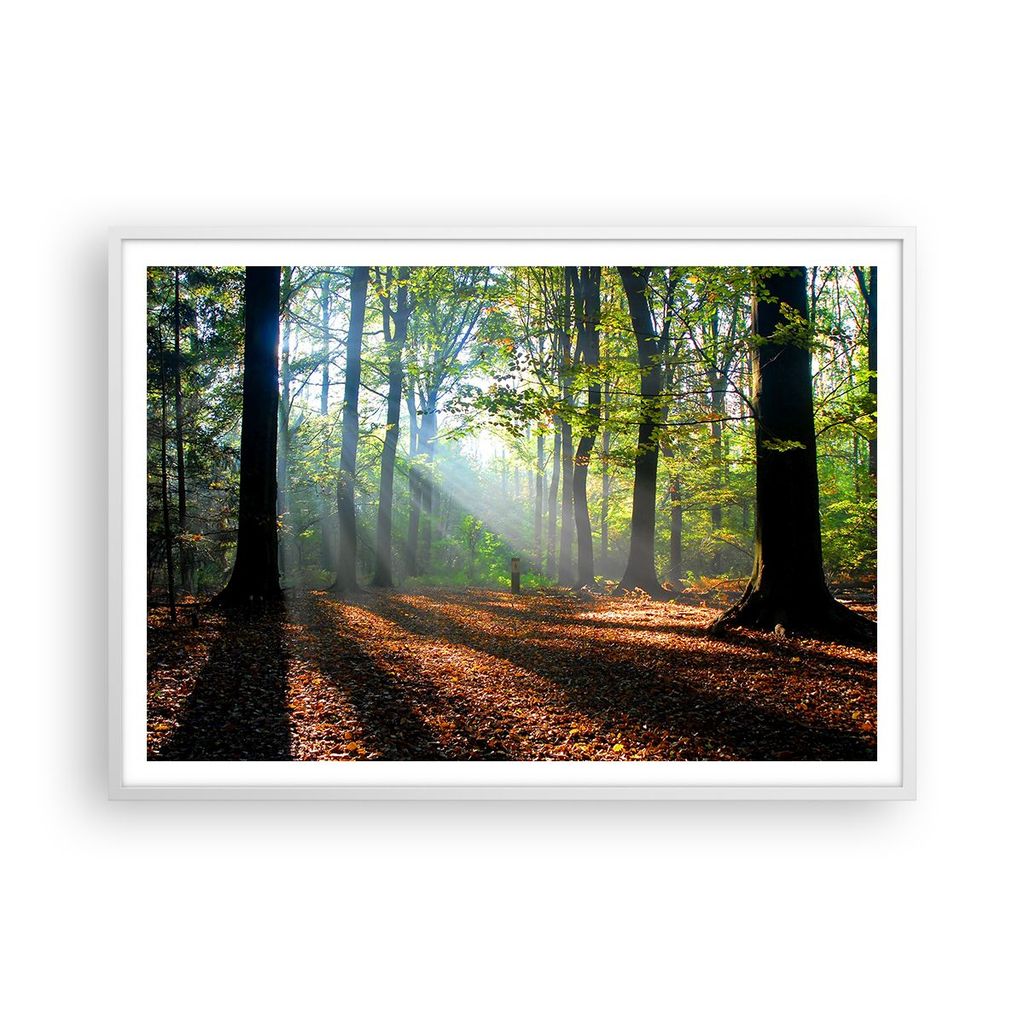 Gerahmtes Poster - Weißer Rahmen - Wald Blätter Sonne - 100x70 cm - Wand Bild - Wanddeko - Wandbilder - Kunstposter - Wandposter - Bilderrahmen -...