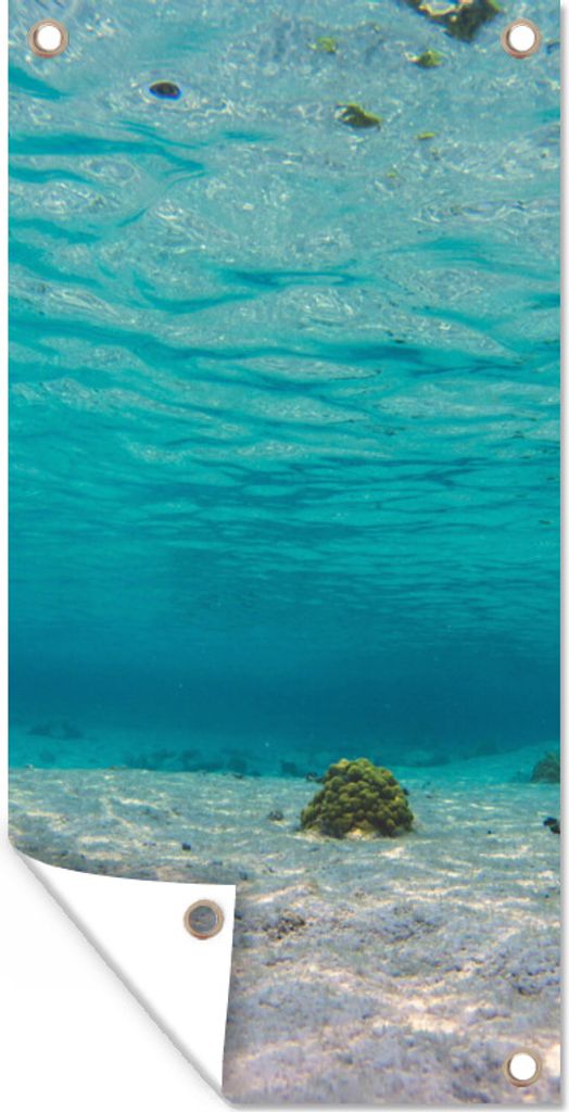 MuchoWow 30x60 cm Outdoor-Poster Gartendeko Sichtschutz Garten Poster für den Garten Das wunderschöne Meer von Glover's Reef in Belize