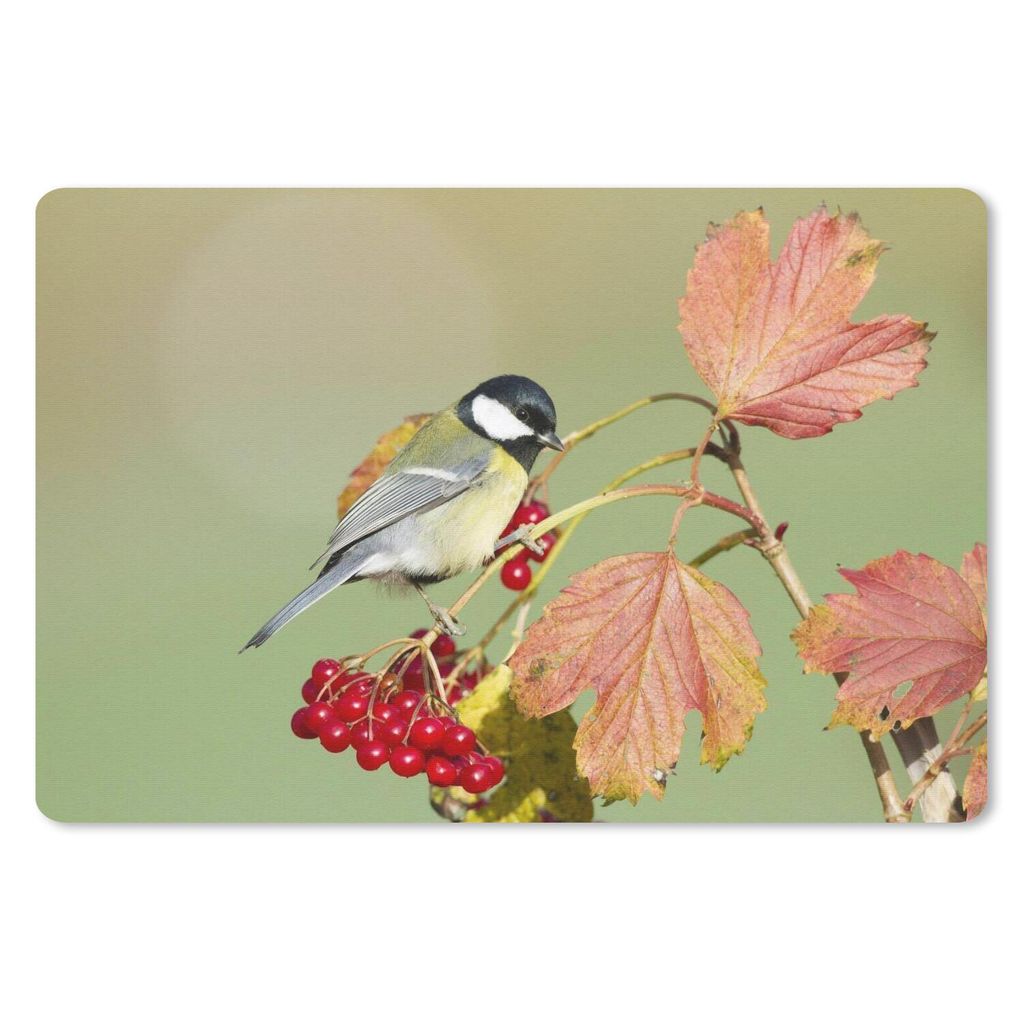 MuchoWow Mauspad Mousepad Tolle Meise zwischen den roten Blättern 27x18 cm - Mousepads - Maus Mat - Pad - Mausunterlage - Büroartikel - Desk Ma...