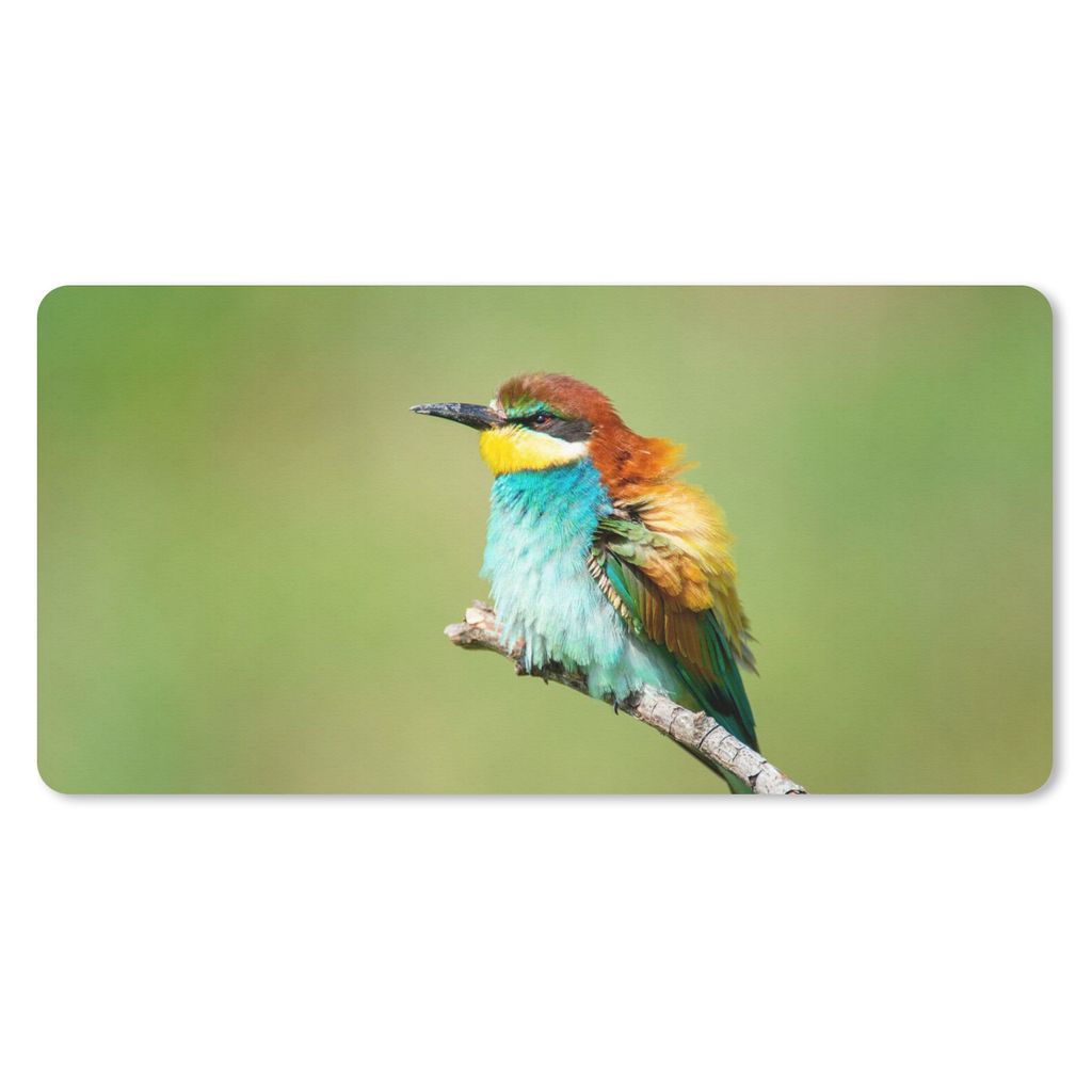 MuchoWow Mauspad Mousepad Vogel - Tiere - Bienenfresser 60x30 cm - Mousepads - Maus Mat - Pad - Mausunterlage - Nachhaltig