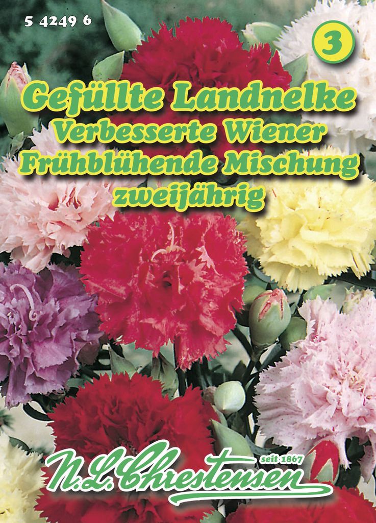 Landnelke Verbesserte Wiener Frühblühende Mischung | Nelkensamen von N.L. Chrestensen