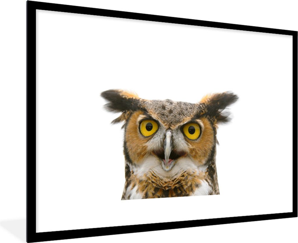 MuchoWow Gerahmtes Poster Eule - Vogel - Porträt 90x60 cm - Poster mit Schwarzem Bilderrahmen Wandposter Rahmen Foto Bilder - Wanddekoration - F...