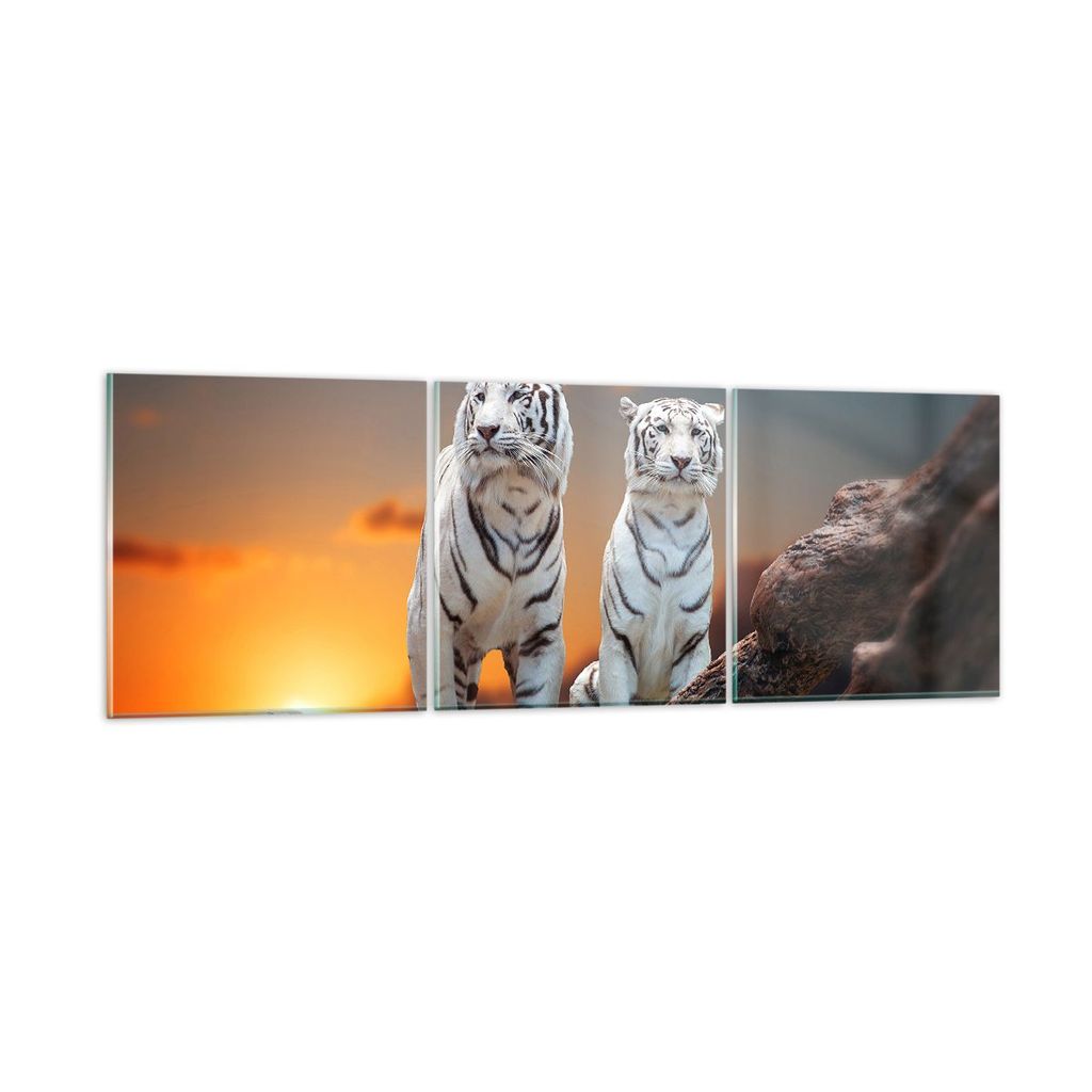 Bilder auf glas - Tiger weiß Rock Sonnenuntergang - 120x40cm - Glasbilder - Wandbilder - Kunstdruck - zum Aufhängen bereit - Wanddekoration aus G...