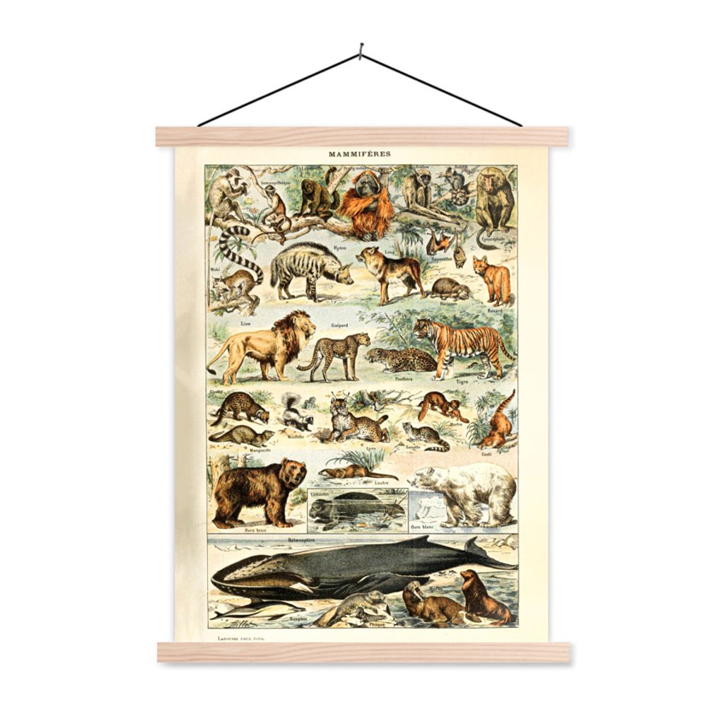 MuchoWow Textilposter Tiere - Vintage - Adolphe Millot - Tiger - Löwe 60x80 cm mit holzfarbenen Rahmen - Wandbild