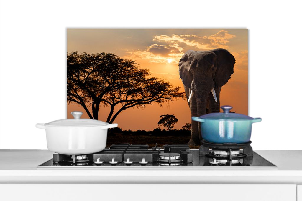 KitchenYeah Spritzschutz Küche - Küchenrückwand - Wandschutz für Herd und Spüle - Elefant - Baum - Afrika 60x40 - Alu-Dibond (Alternative z...