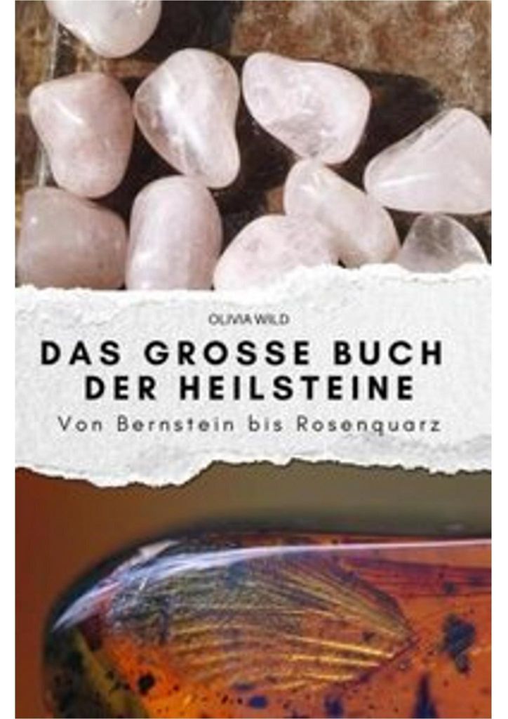 Das große Buch der Heilsteine