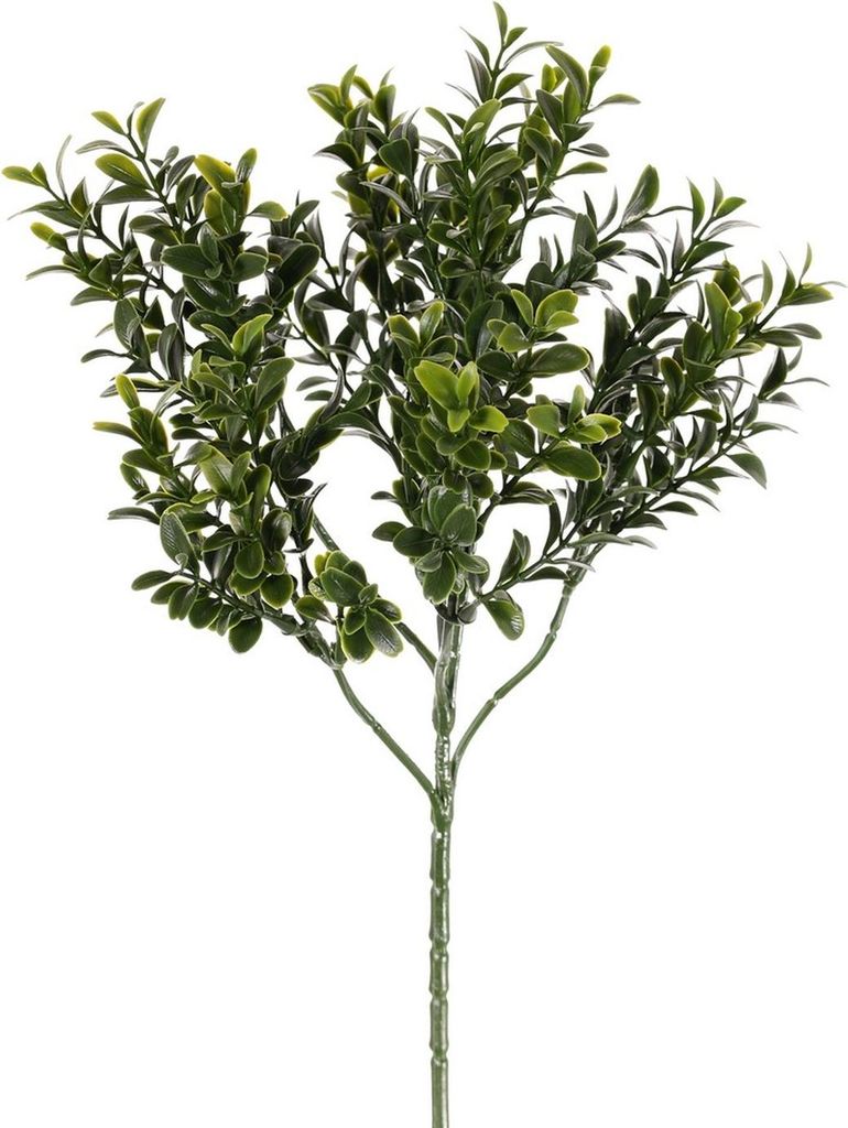 artplants.de Dekozweig Buchsbaum Tom, crossdoor, 45cm - Produktbild 