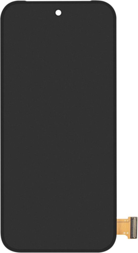 Google Pixel 9 Display