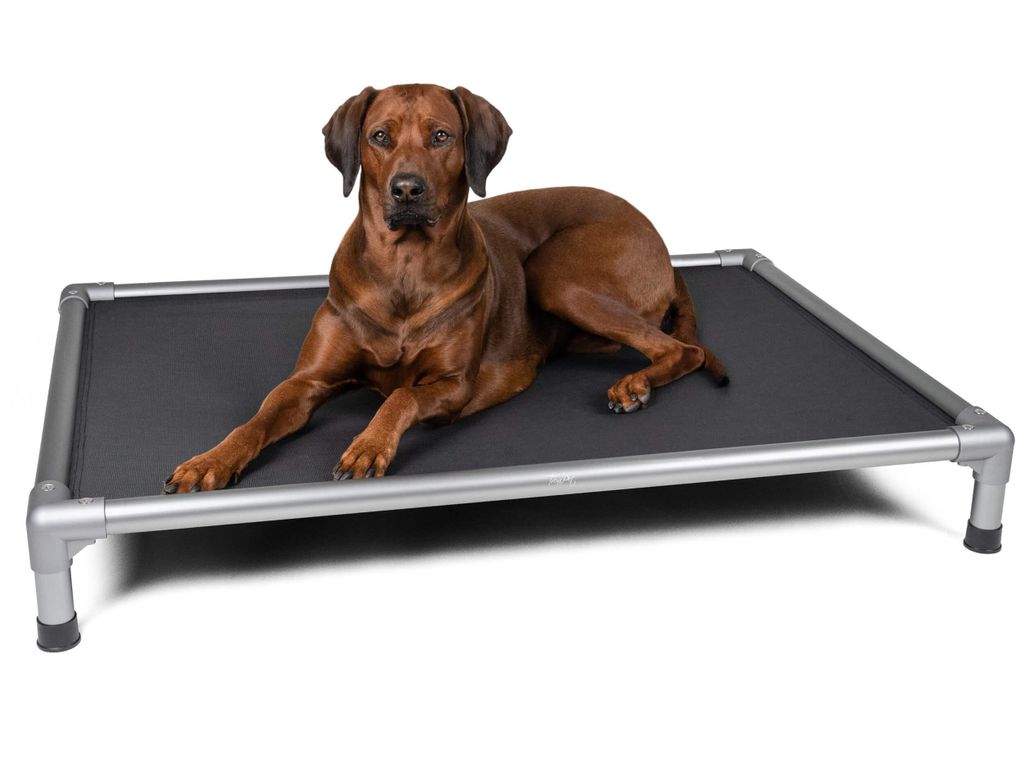TrendPet HighBed Hochbett für Hunde grau (108x80x18cm) Produktbild 