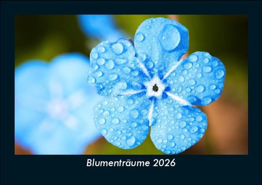 Blumenträume 2026 Fotokalender - Querformat DIN A5, Monatskalender mit Bild-Motiven aus Fauna und Flora, Natur, Blumen und Pflanzen