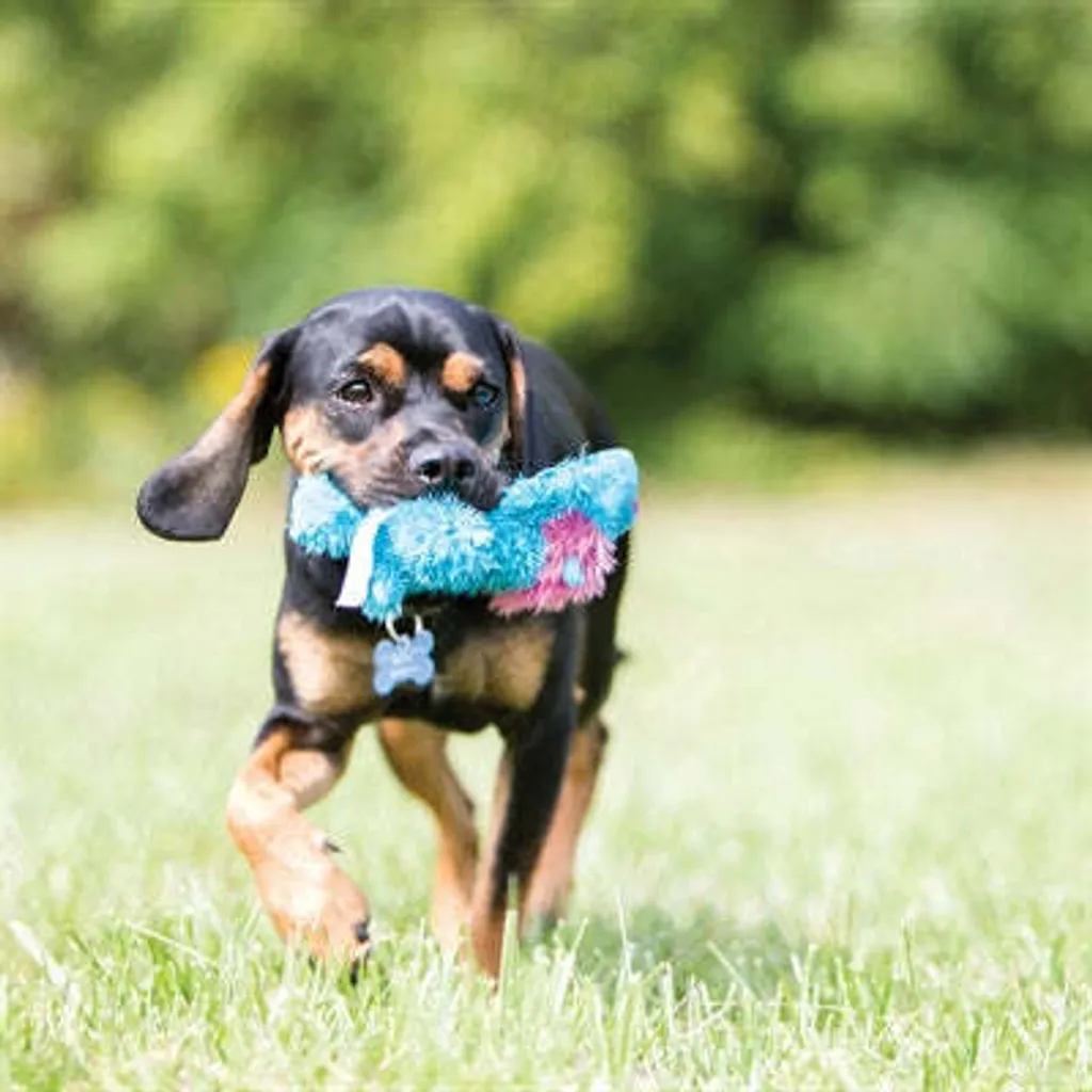 KONG Cozie Pastels: Recensione Tecnica Peluche Resistente Cani - 5
