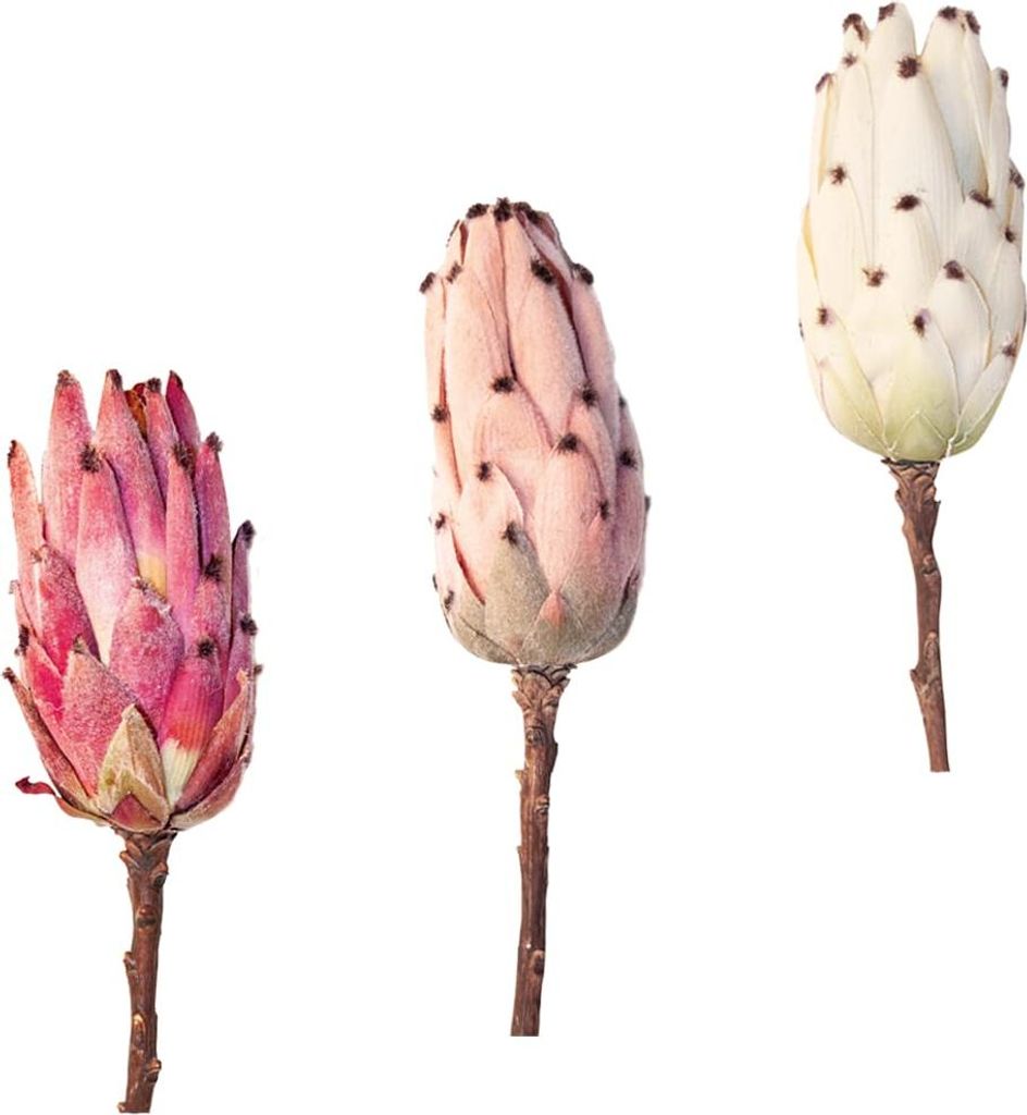 Zuckerbüsche Protea Blüte Kunstblumen Dekoblumen Ø 7x13x51 cm in 3 Farben, 5_Farbe:Rosa