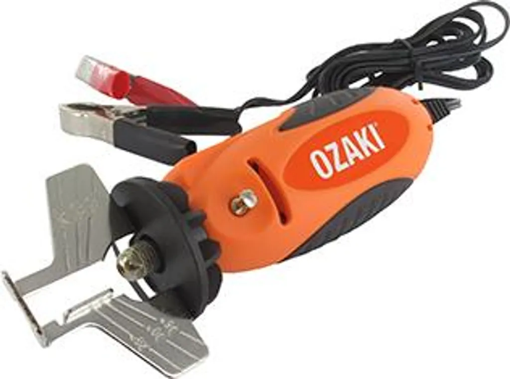 Kit meuleuse 12V portable + 3 meules et rapporteur : affûtage sur site