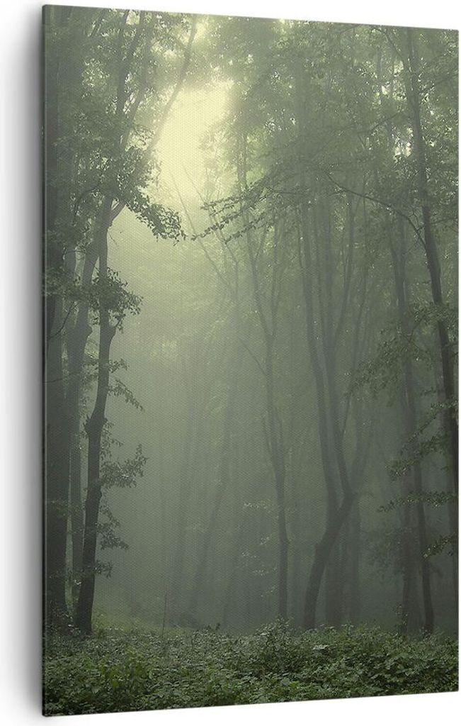 Bild auf Leinwand - Leinwandbild - Einteilig - Wald Nebel Produktbild 