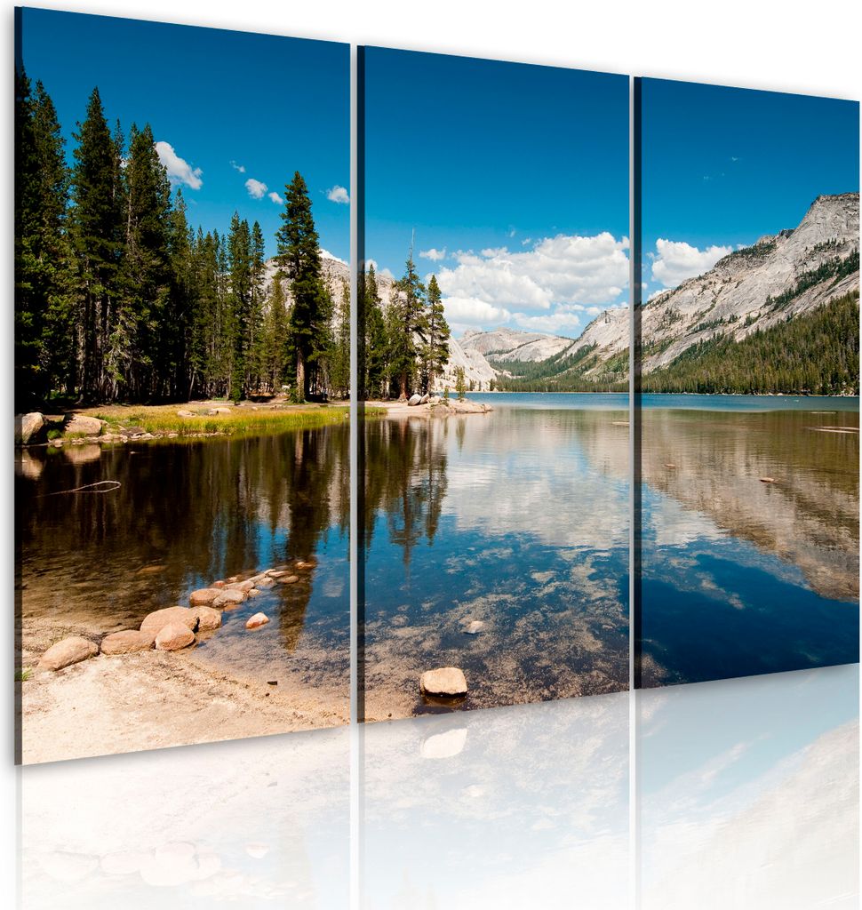Modernes Wandbild 030212- 27 (120x80) - 3 Teilig Bilder Fotografie auf Vlies Leinwand Foto Bild Dekoration Wand Bilder Kunstdruck Natur