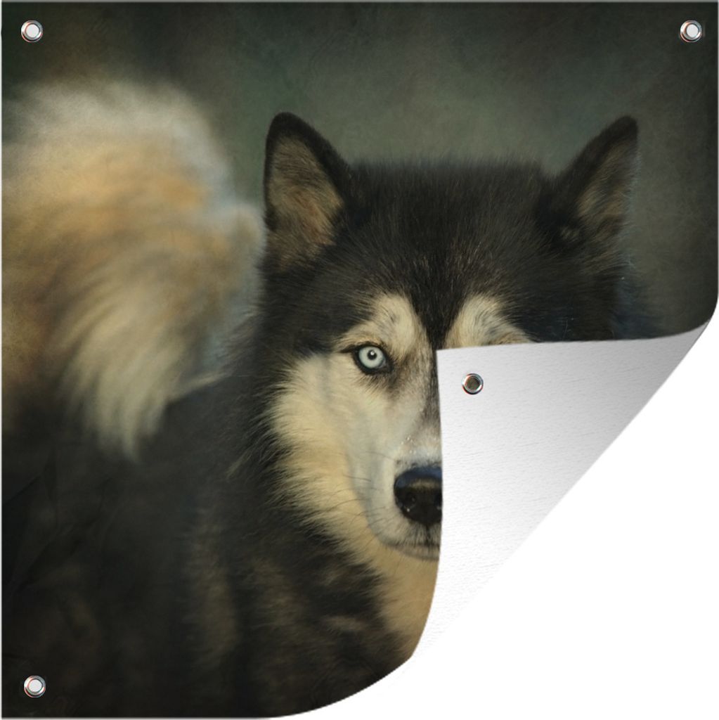 MuchoWow 100x100 cm Outdoor-Poster Gartendeko Sichtschutz Garten Poster für den Garten Husky schaut in die Kamera