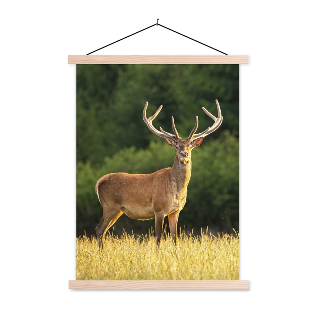 MuchoWow Textilposter Hirsch - Geweih - Gras - Natur - Tiere - Grün 120x160 cm mit holzfarbenen Rahmen - Plakatkarton