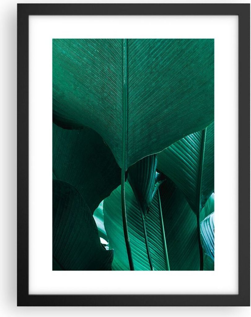 Gerahmtes Poster - Schwarzer Rahmen - Blätter Palmen Banane - 30x40 cm - Wand Bild - Wanddeko - Wandbilder - Kunstposter - Wandposter - Bilderrahm...