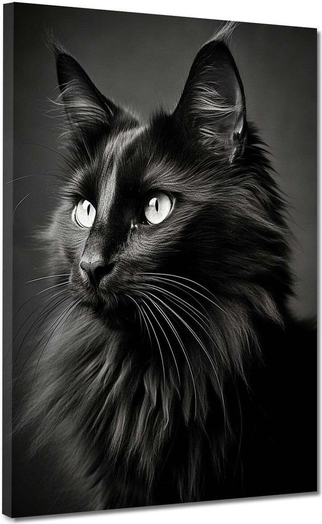 Katze schwarz Beautiful Leinwandbild Wandbild Kunstdruck XL Wanddeko: 120x160x4cm
