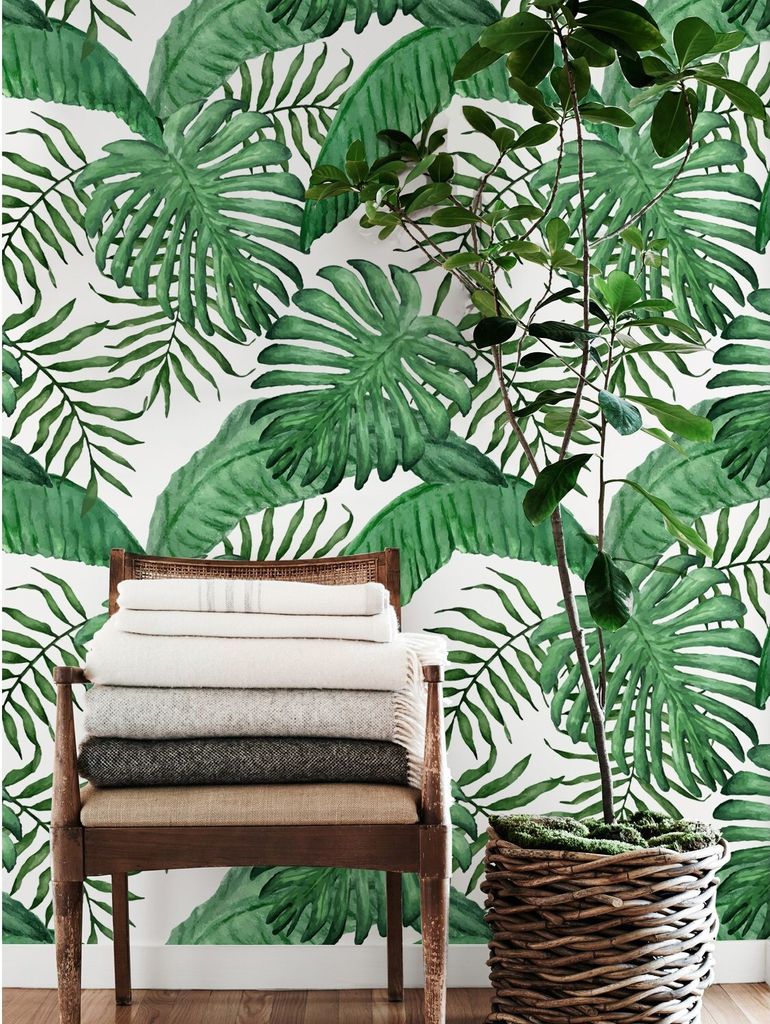 Coloray Fototapete 104x70 cm Vlies-Fototapete - Blatt