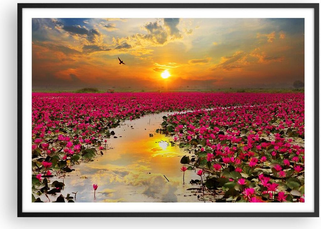 Gerahmtes Poster - Schwarzer Rahmen - See Blumen - 100x70 cm - Wand Bild - Wanddeko - Wandbilder - Kunstposter - Wandposter - Bilderrahmen - Bilder...