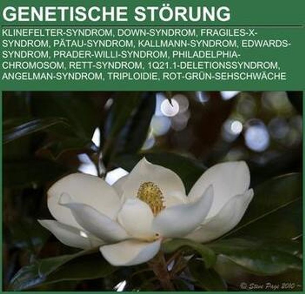 Genetische Störung