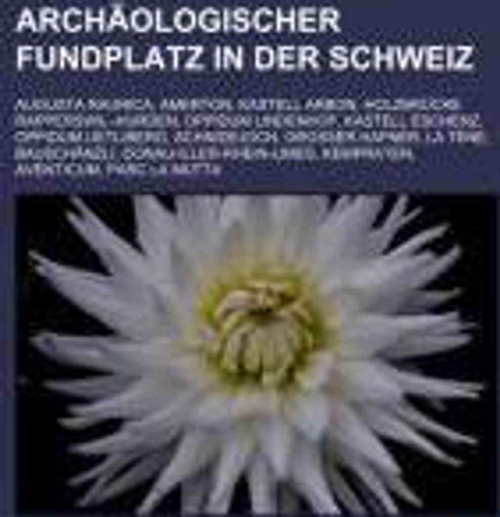 Archäologischer Fundplatz in der Schweiz