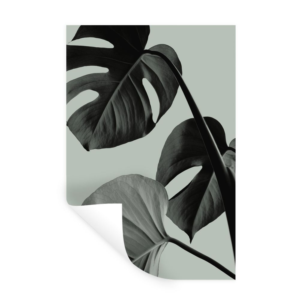 MuchoWow Wandtattoo Wandsticker Wandaufkleber Monstera - Blätter - Grün - Stilleben 60x90 cm Selbstklebend und Repositionierbar - Sticker - Dek...