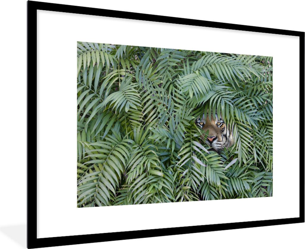 MuchoWow® MuchoWow® Gerahmtes Poster Tiger - Blätter - Farn Produktbild 