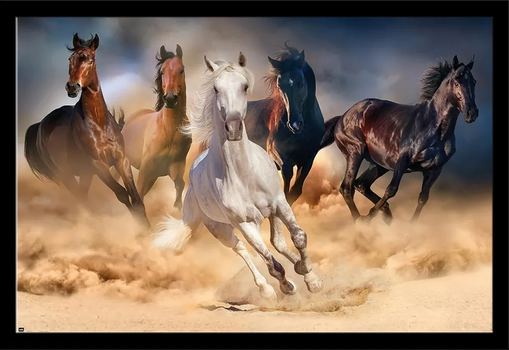 Tableau Chevaux Troupeau Shinsuke - Cadre Amovible Noir et Vitre Acrylique
