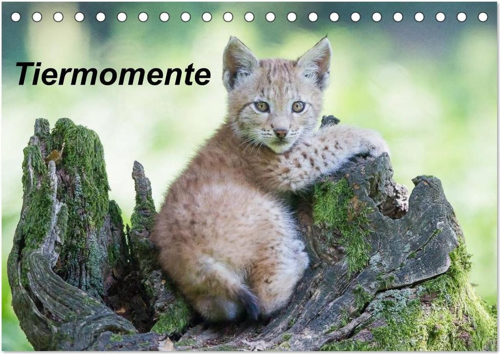 Tiermomente (Tischkalender 2026 DIN A5 quer), CALVENDO Monatskalender