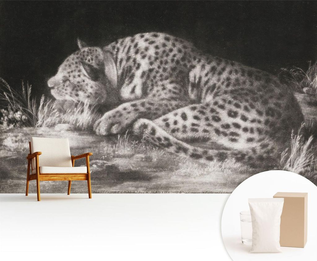 Fototapete - 416x254 cm - Tapete - Wandtapete - Wandbilder - Dekofolie - Tapete Folie - Wand - Dekoration - Wohnzimmer - Leopard ruht