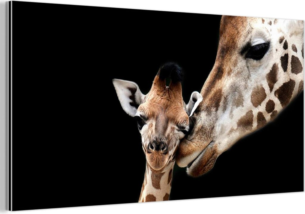 MuchoWow Wanddekoration Metall Metallbild Wandkunst 120x60 cm Giraffe - Tiere - Schwarz - Porträt - Tiere MuchoWow Aluminium Gemälde - Metalbilder
