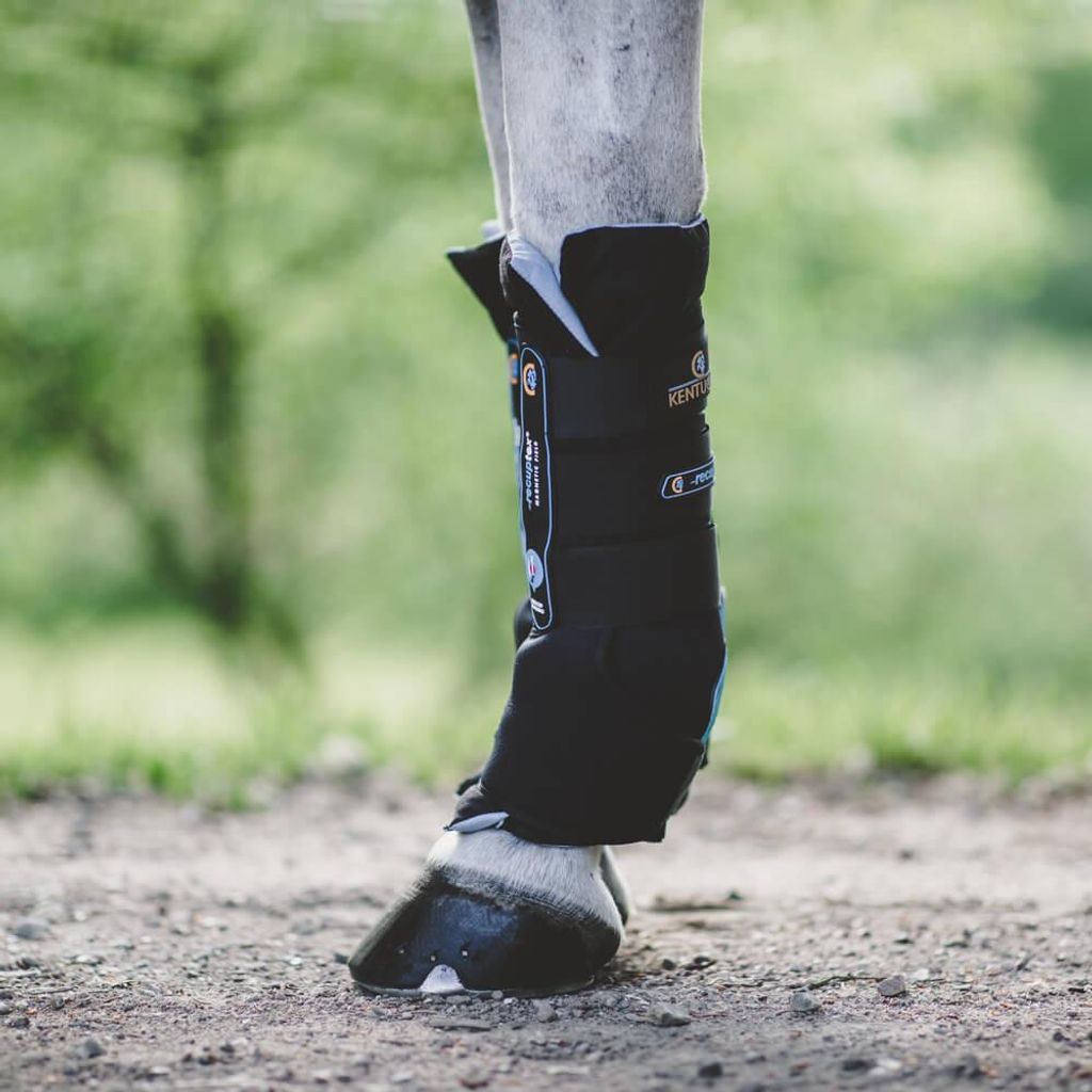 Kentucky Horsewear Stallgamaschen Magnetisch Recuptex