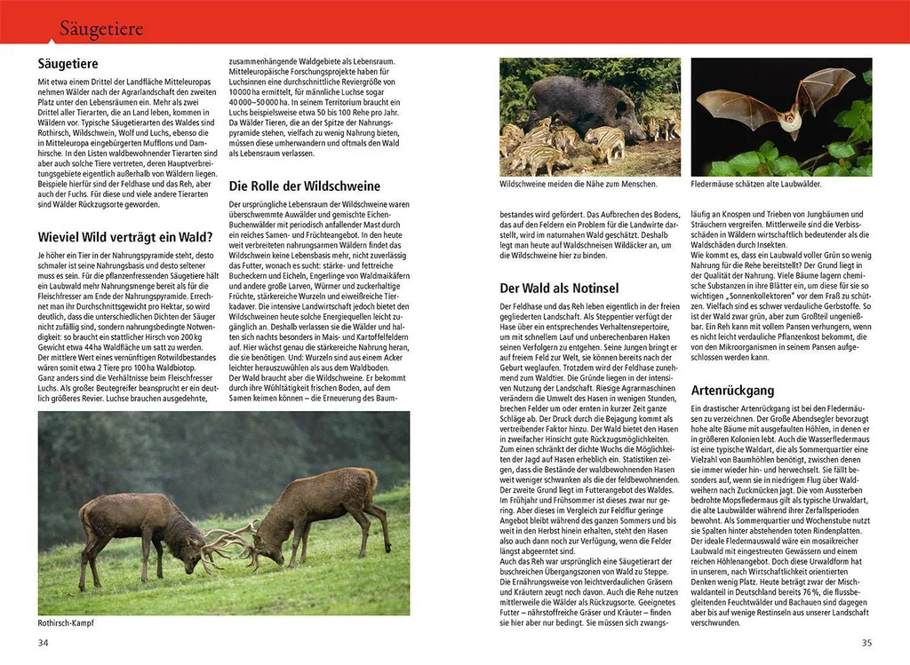 Guide forestier Der Kosmos Waldführer pour identifier la faune - 4